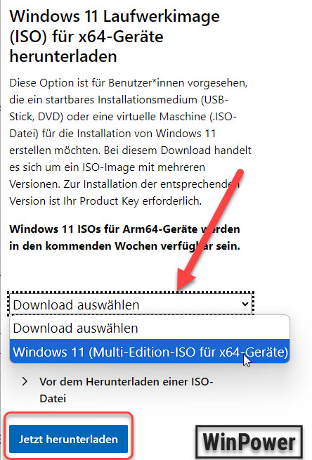 Windows 11 iso